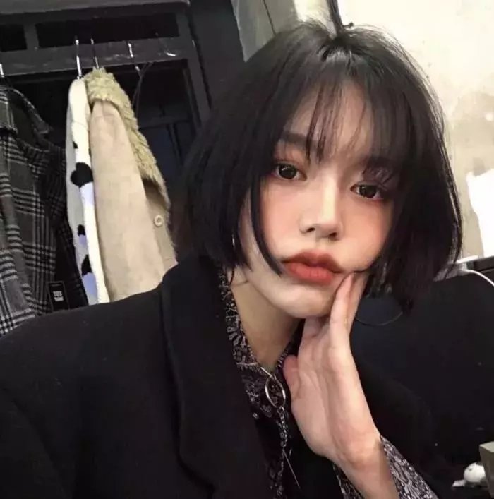 职场菜鸟生存图鉴